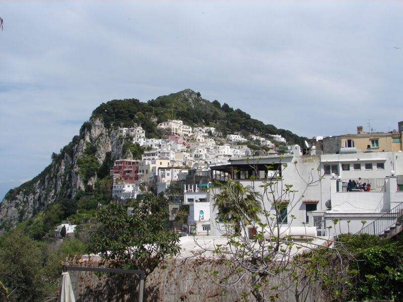 hilltop home.jpg
